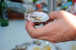 Oyster in hand